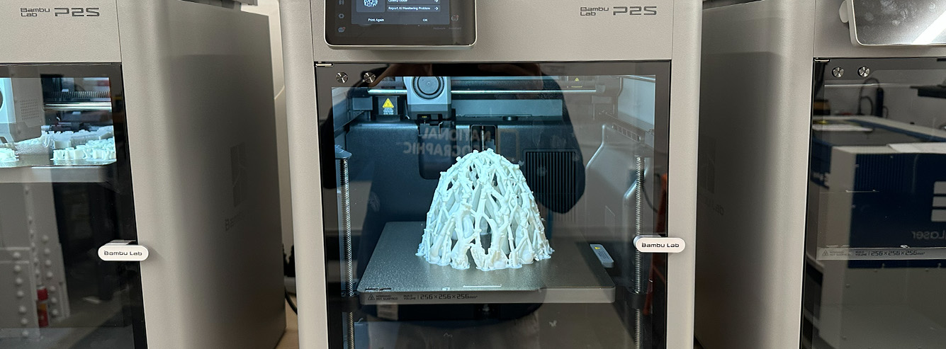 Branch lattice printing on the Bambu Lab P2S